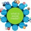 Paid, earned, and owned media